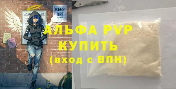 дживик Шадринск
