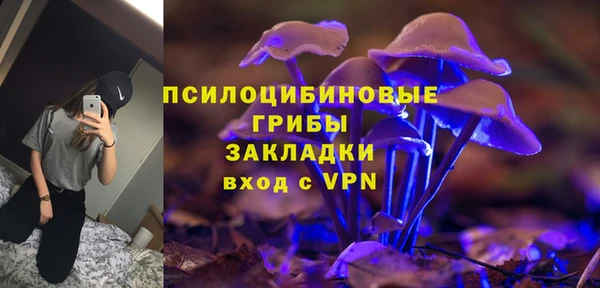 мдпв Заволжск