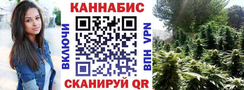 Канабис SATIVA & INDICA  Томари 
